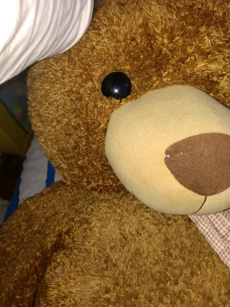 Osito de peluche gigante - 4