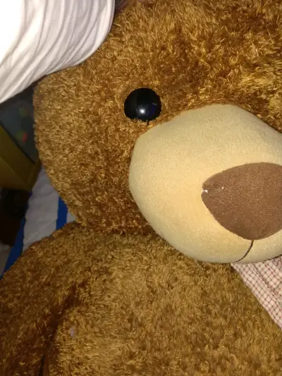 Osito de peluche gigante - miniatura 4