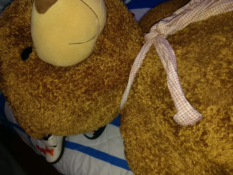 Osito de peluche gigante - 5