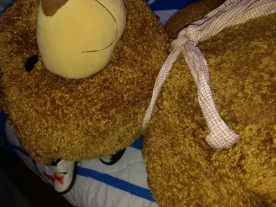 Osito de peluche gigante - miniatura 5