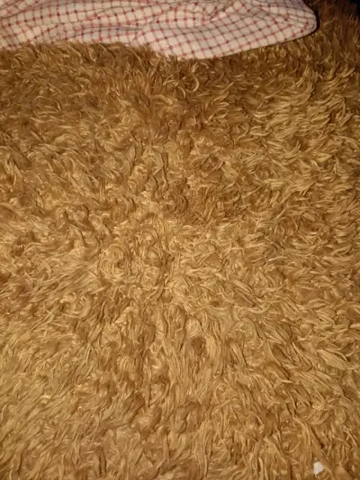 Osito de peluche gigante - miniatura 6