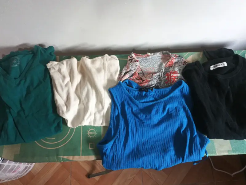 Lote de poleras y blusas variadas