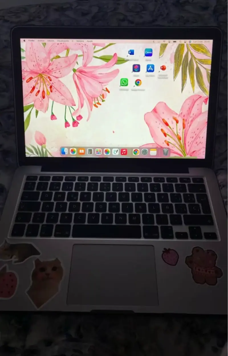 MacBook Pro Retina, 13-inch Early 2015 - 2