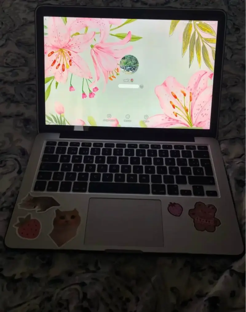 MacBook Pro Retina, 13-inch Early 2015 - 6