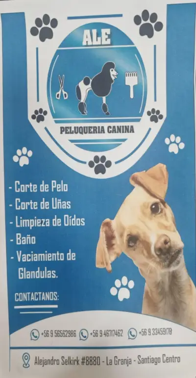 Peluquería canina - miniatura 1