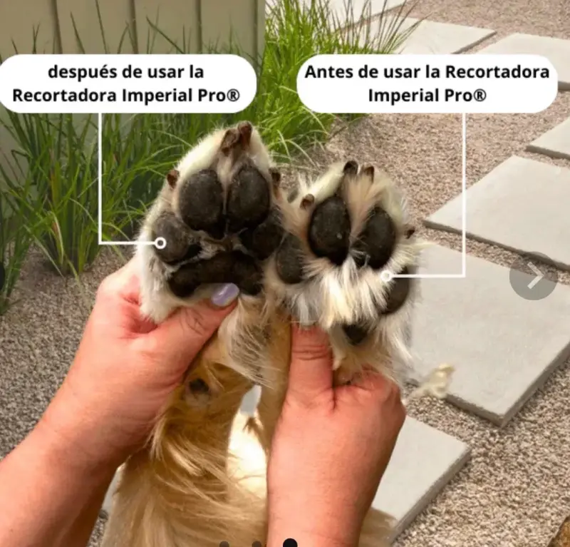 Recortadora para perros inalámbrica blanca - 3