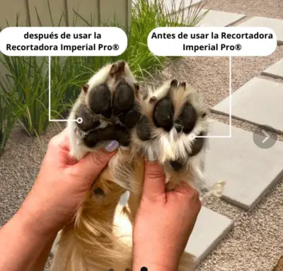 Recortadora para perros inalámbrica blanca - miniatura 3