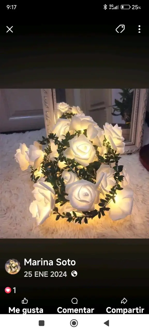 Guirnalda de rosas LED blancas