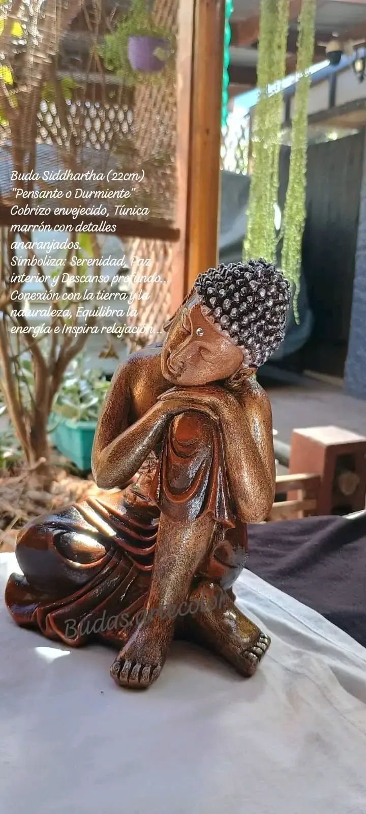 Estatua Buda Siddhartha 22cm