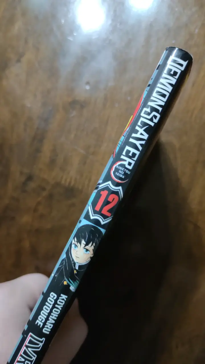 Manga Demon Slayer Volumen 12 - 5