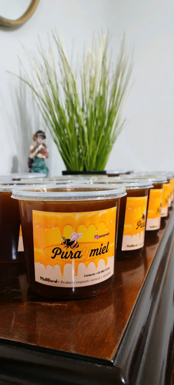Miel multifloral pura y natural 1kg - 1