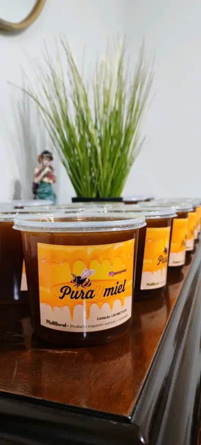 Miel multifloral pura y natural 1kg - miniatura 1