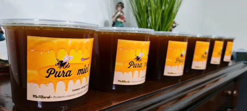 Miel multifloral pura y natural 1kg - 2