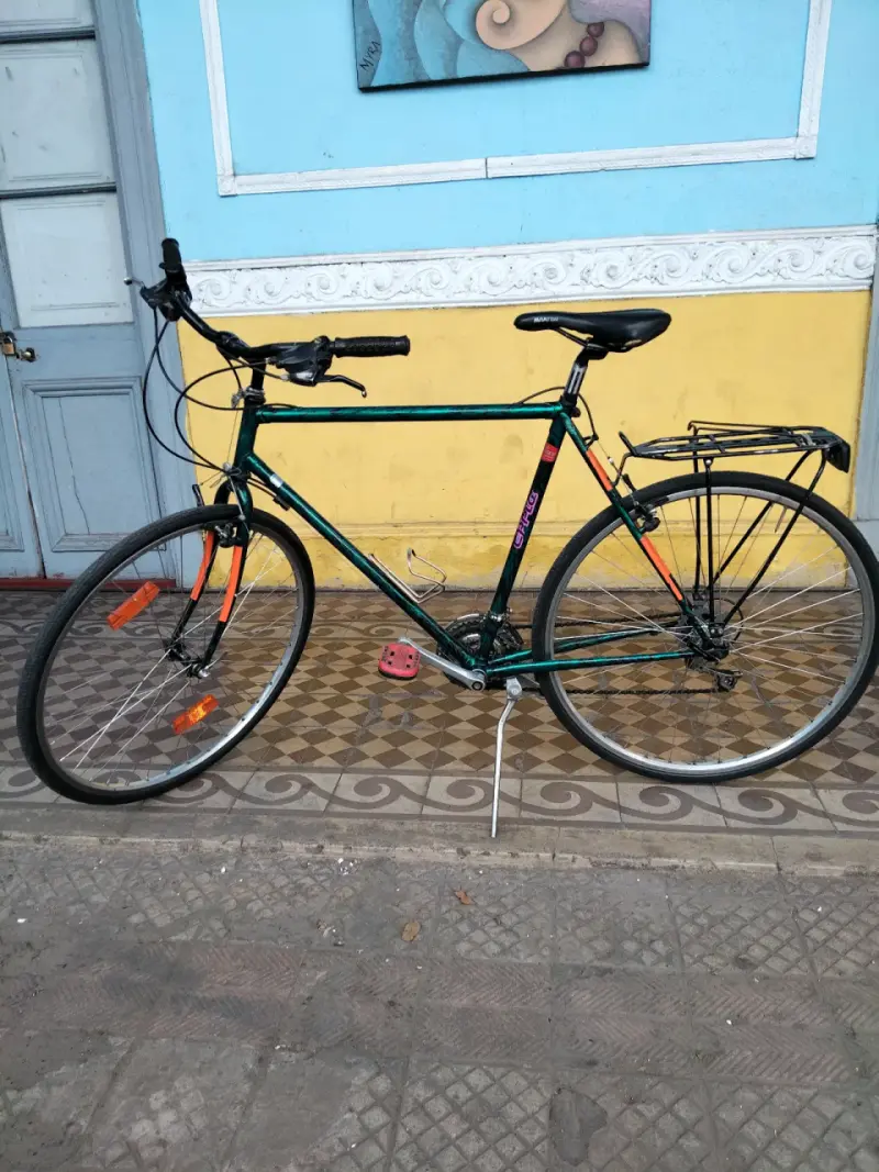 Bicicleta con parrilla
