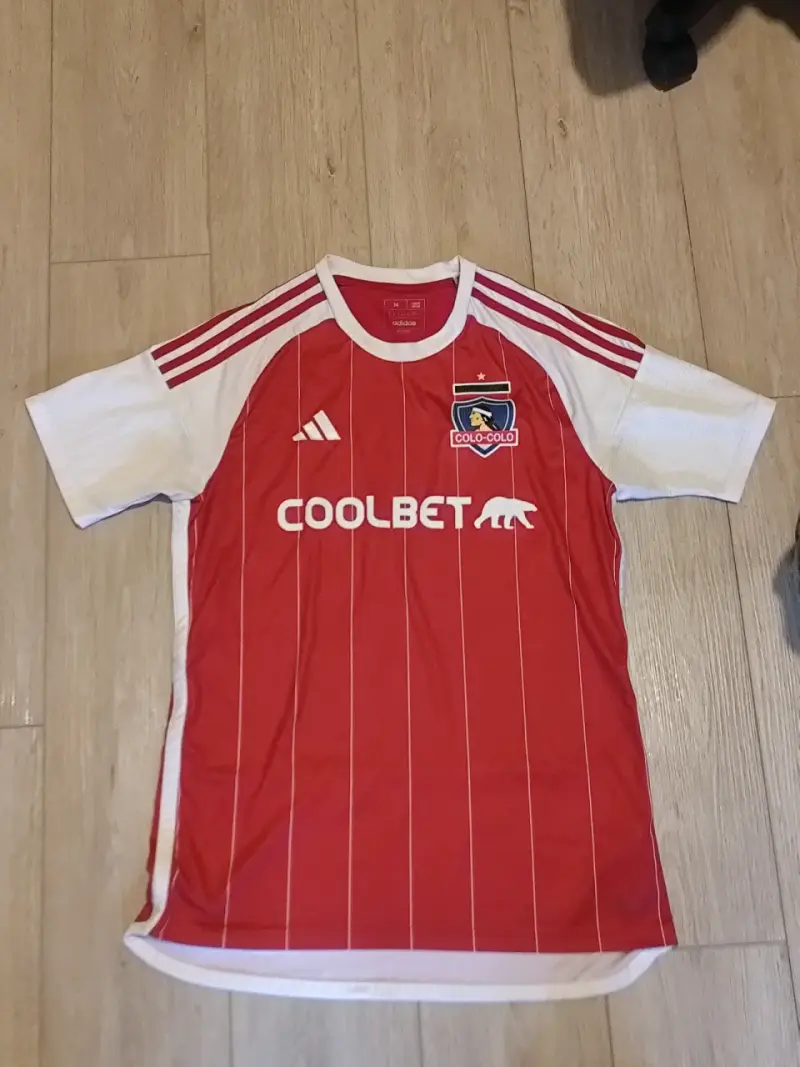 Polera Colo-Colo 3era Equipacion 2024-2025 - 1