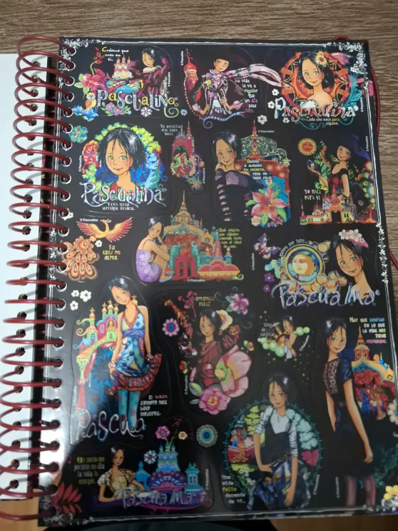 Diario ilustrado Pascualina 2011 - 2
