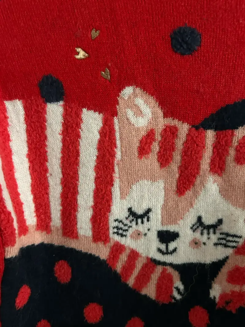 Sweater infantil rojo con gato - 2 años - 2