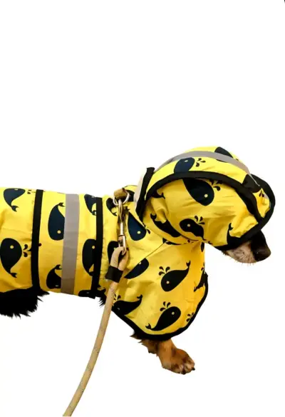 Impermeable C/capucha, Fondo Amarillo Con Ballenas - miniatura 1