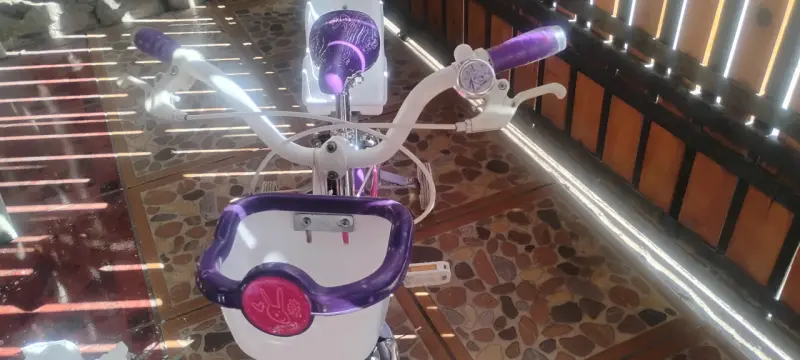 Bicicleta infantil Oxford niña - 5