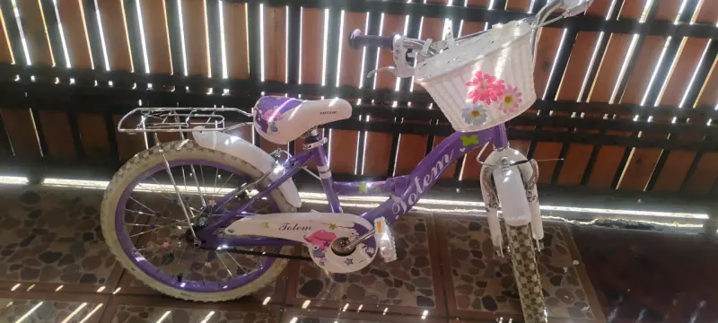 Bicicleta infantil totem