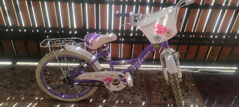 Bicicleta infantil totem - 5