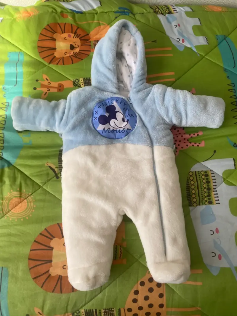 Enterito polar Mickey Mouse