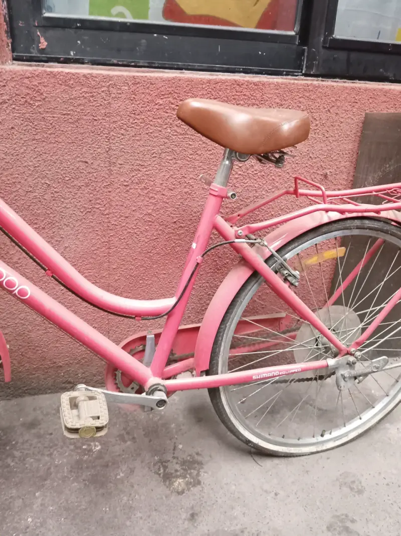Bicicleta urbana rosada con canasto - 2
