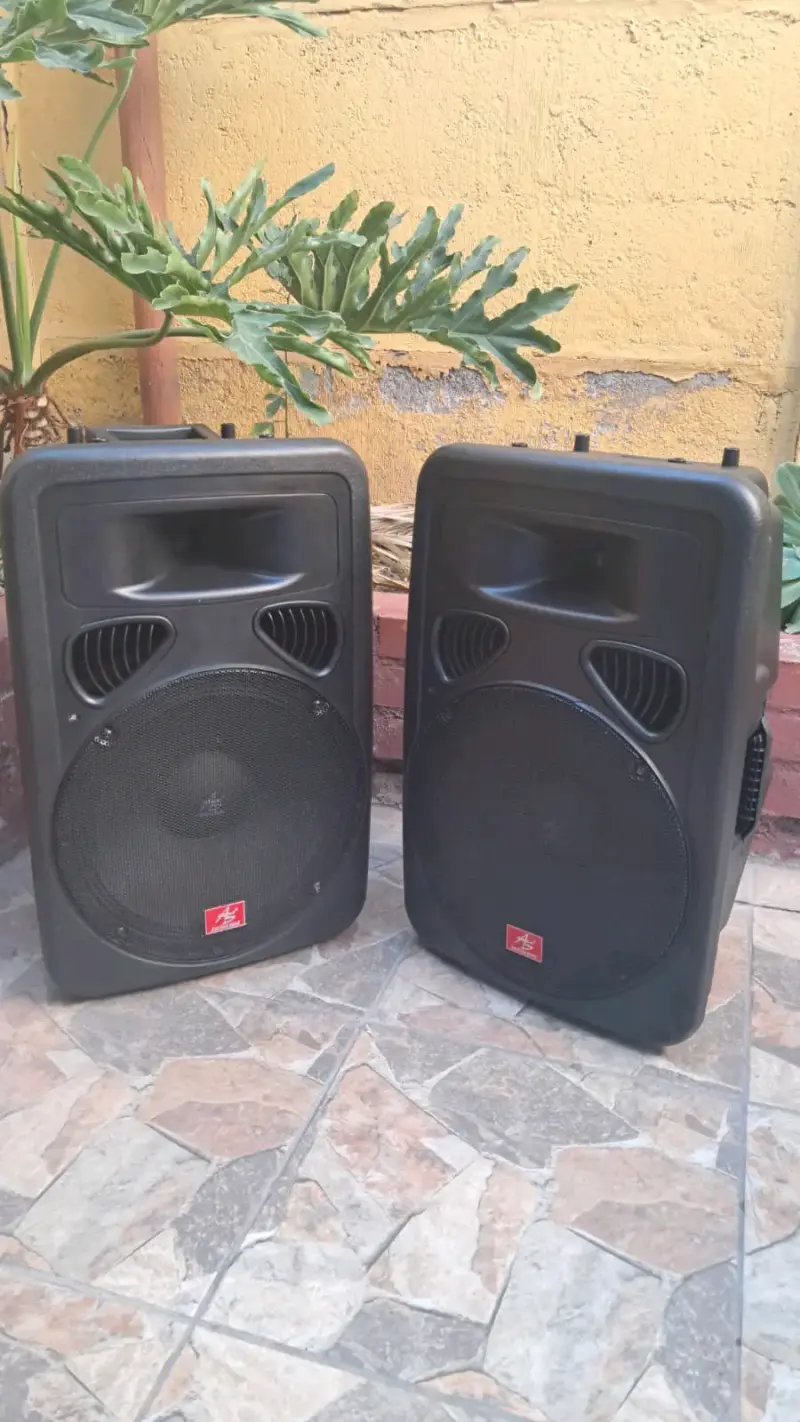 Parlantes de sonido portátil amplificados - 1