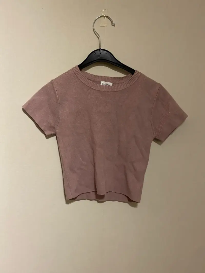 Polera corta violeta Sybilla