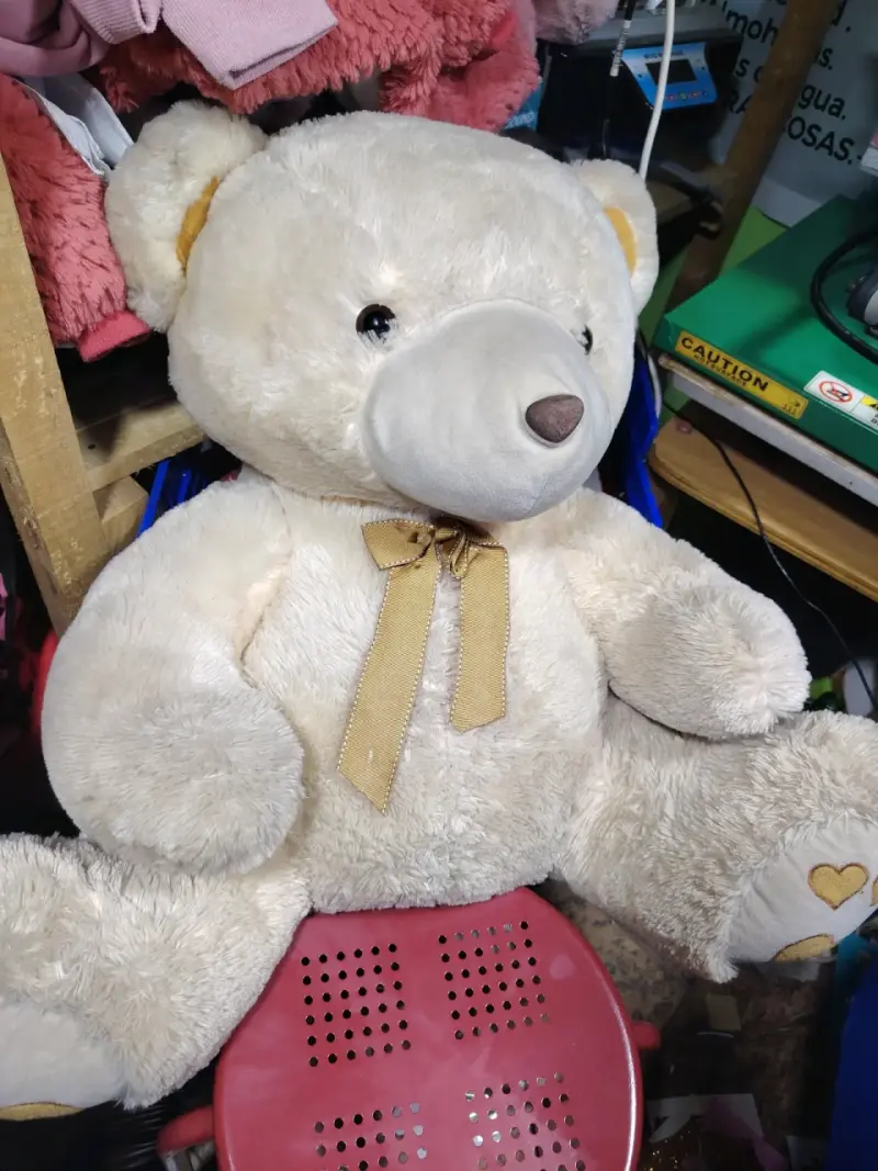Oso de peluche musical - 2