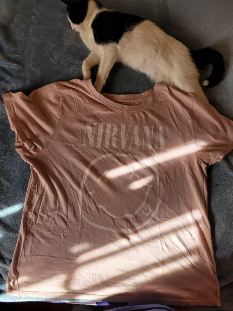 Polera Nirvana color rosa