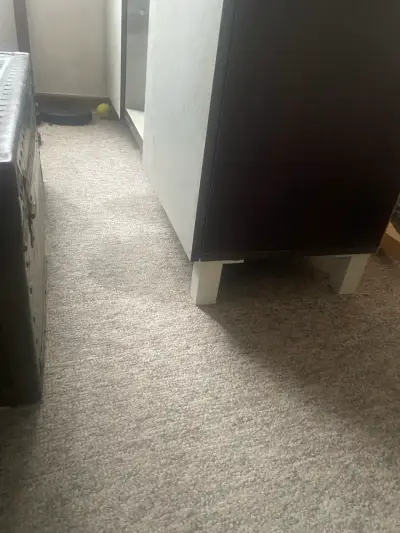 Mueble de almacenamiento marrón - miniatura 3