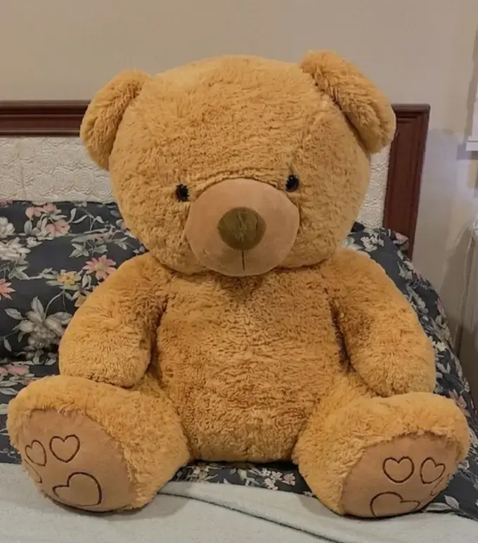 Osito de peluche gigante café 80 cm