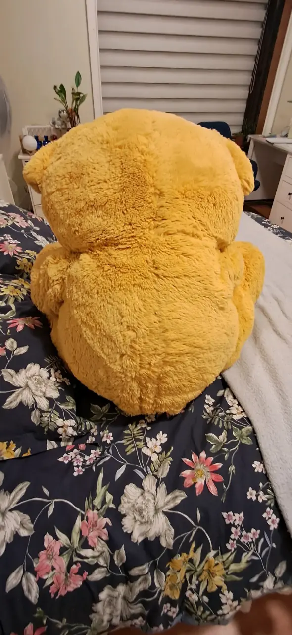 Osito de peluche gigante café 80 cm - 2