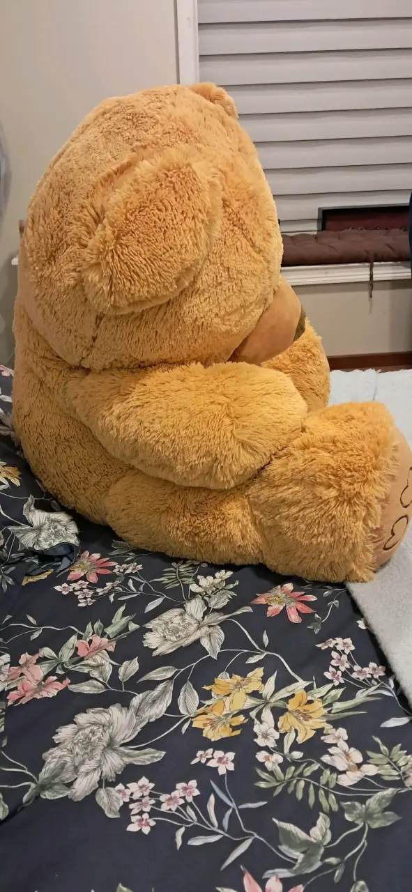 Osito de peluche gigante café 80 cm - 3