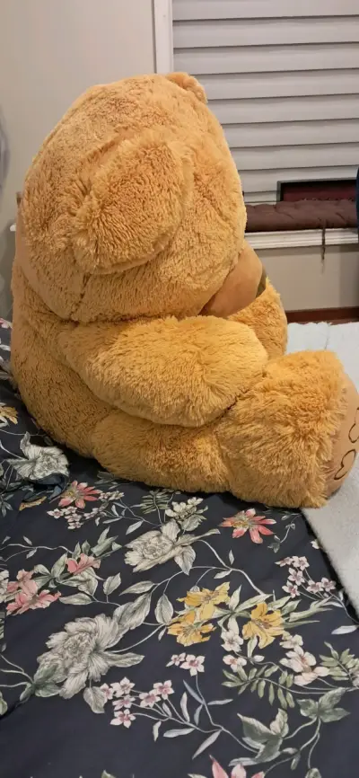 Osito de peluche gigante café 80 cm - miniatura 3