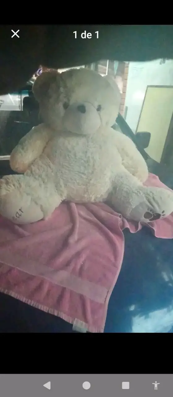 Osito de Peluche Grande