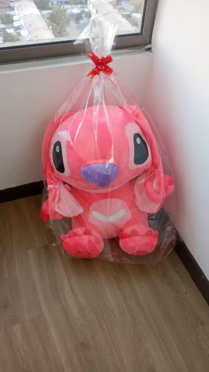 Peluche grande rosado - 1