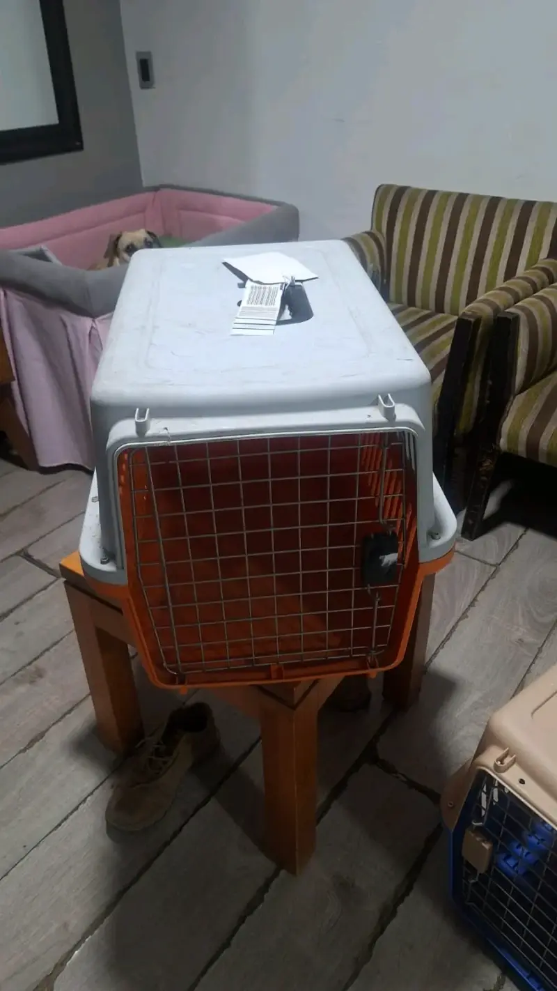 Transportadora para mascotas mediana - 1