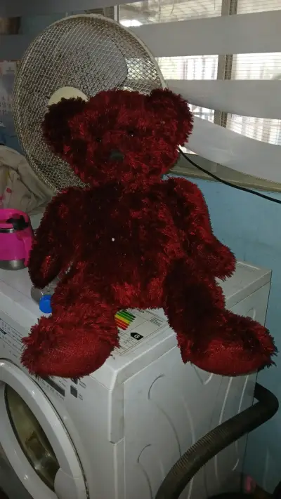 Osito de peluche rojo grande - miniatura 1