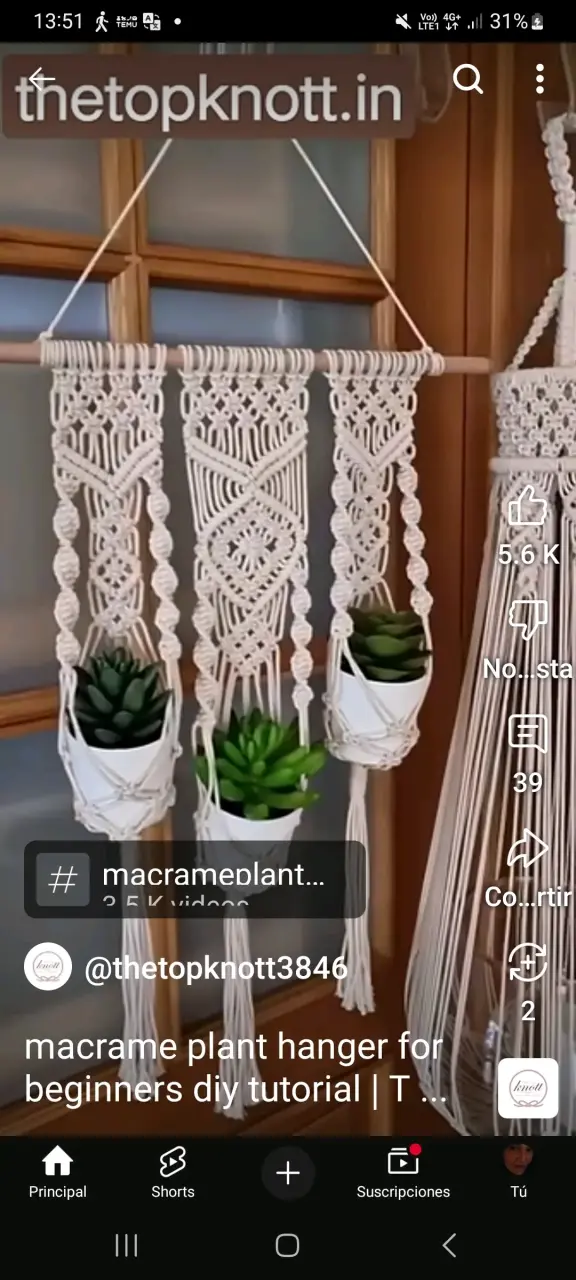 Carteras colgantes y de mano - 4