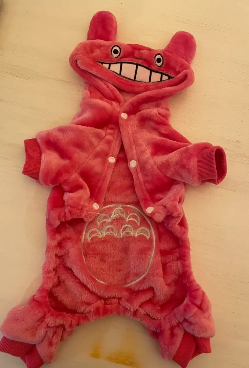 Disfraz perrita  rosado peluche - 2