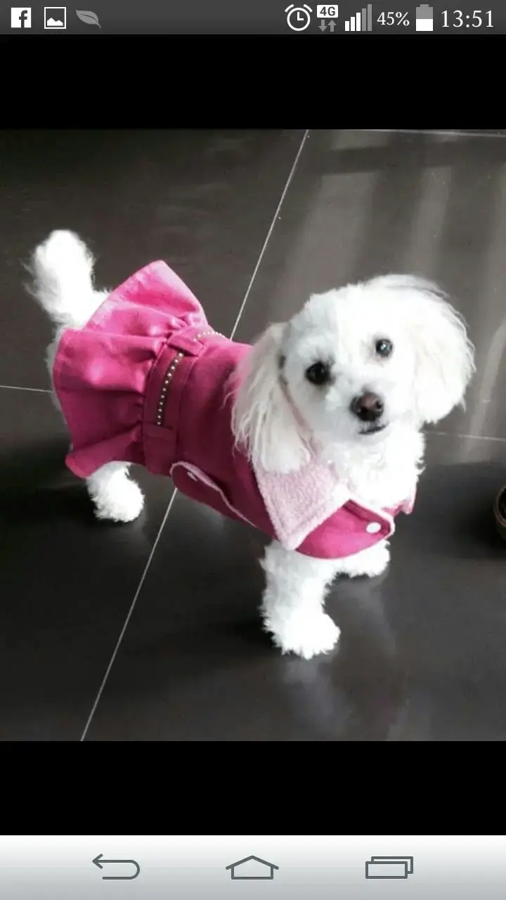 Disfraz perrita rosado peluche - 4