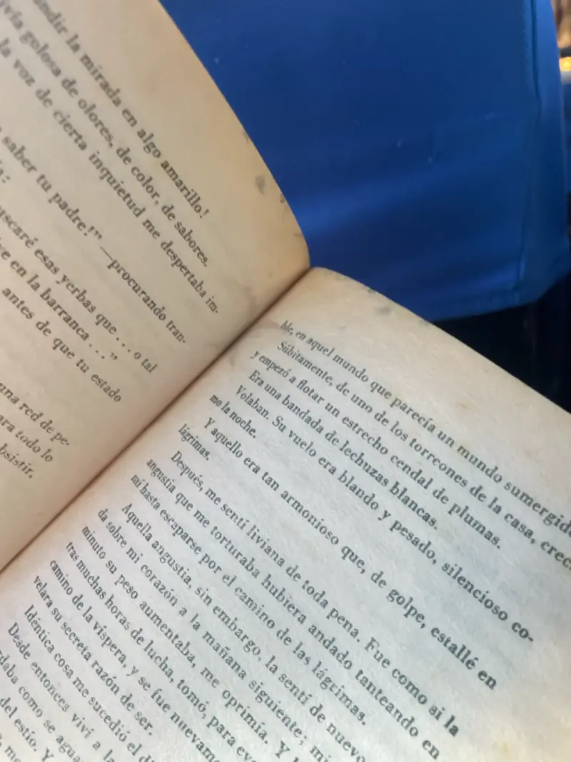 Libro La Amortajada de María Luisa Bombal - 3