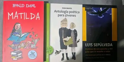 Set de libros de autoayuda y lectura complementari - miniatura 4