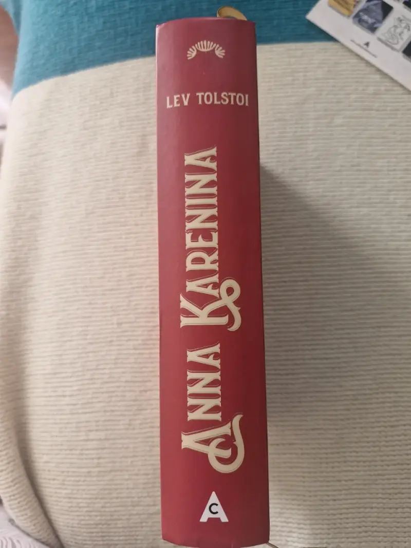 Libro Anna Karenina ilustrado - 6