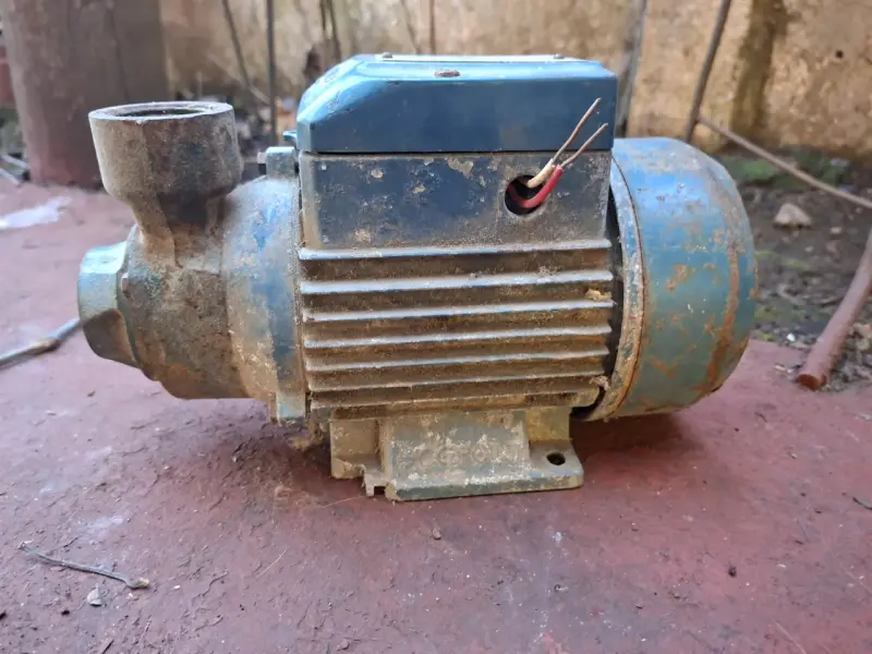 Bomba de agua Pedrollo PKm 60-1 - 2