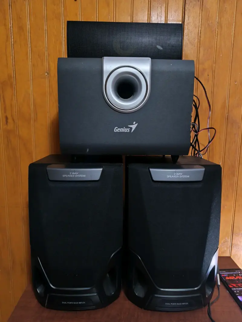 Parlante Genius subwoofer - 2