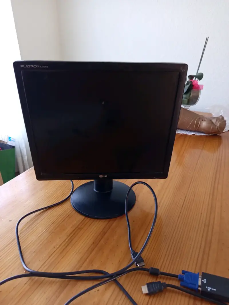 Monitor LG Flatron L1743S