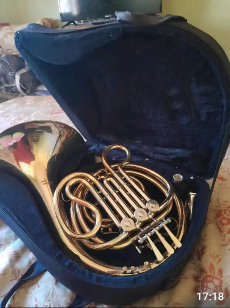 Corno Francés con estuche